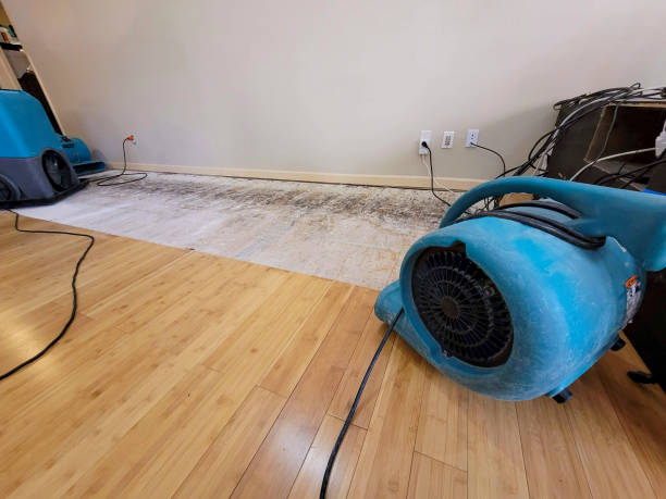 Professional Water Removal technician working in Roca, NE